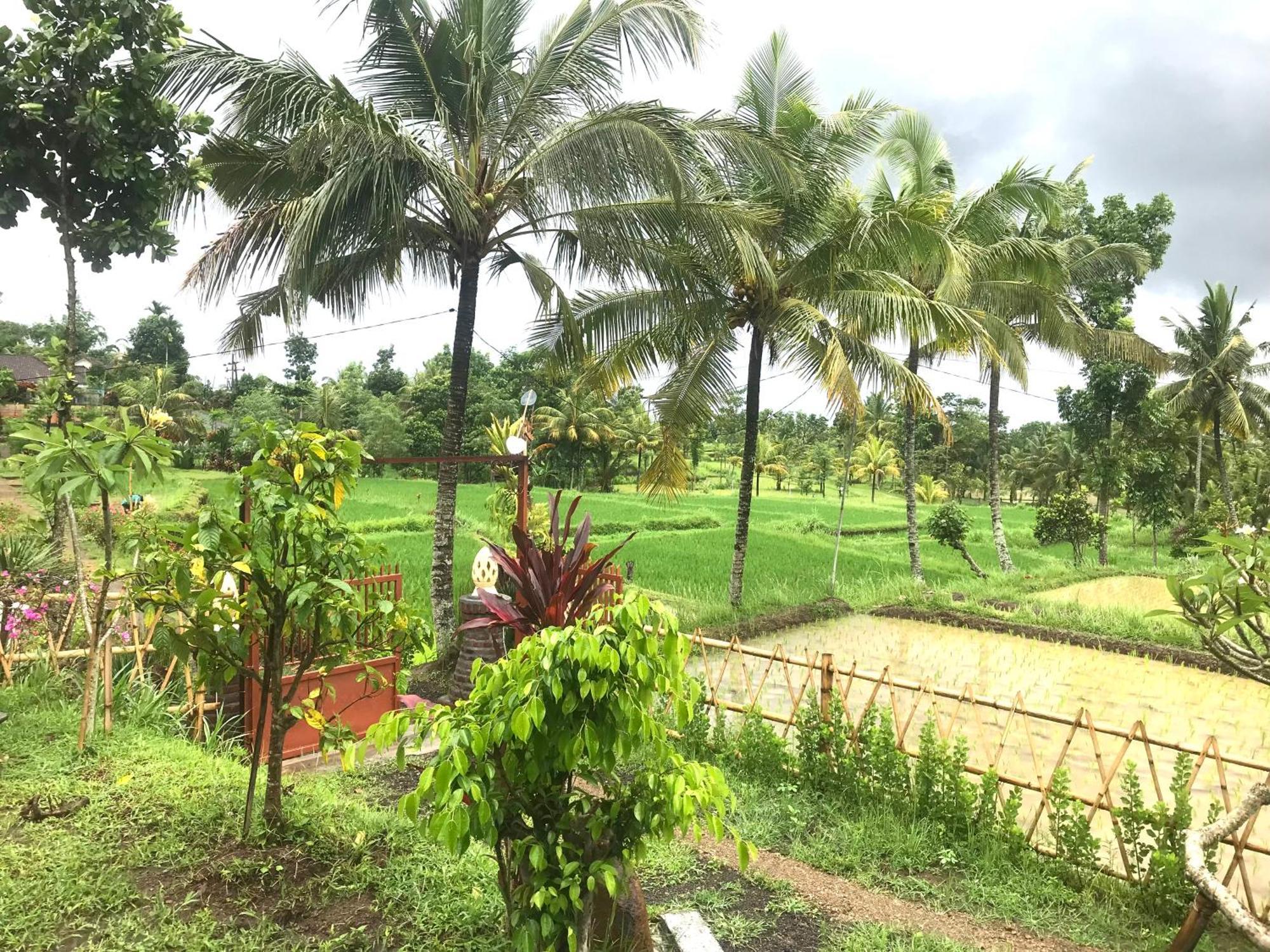 Bello Bungalow Batukliang ภายนอก รูปภาพ