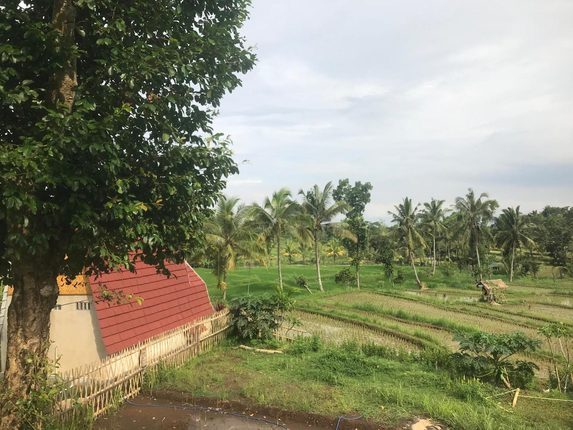 Bello Bungalow Batukliang ภายนอก รูปภาพ