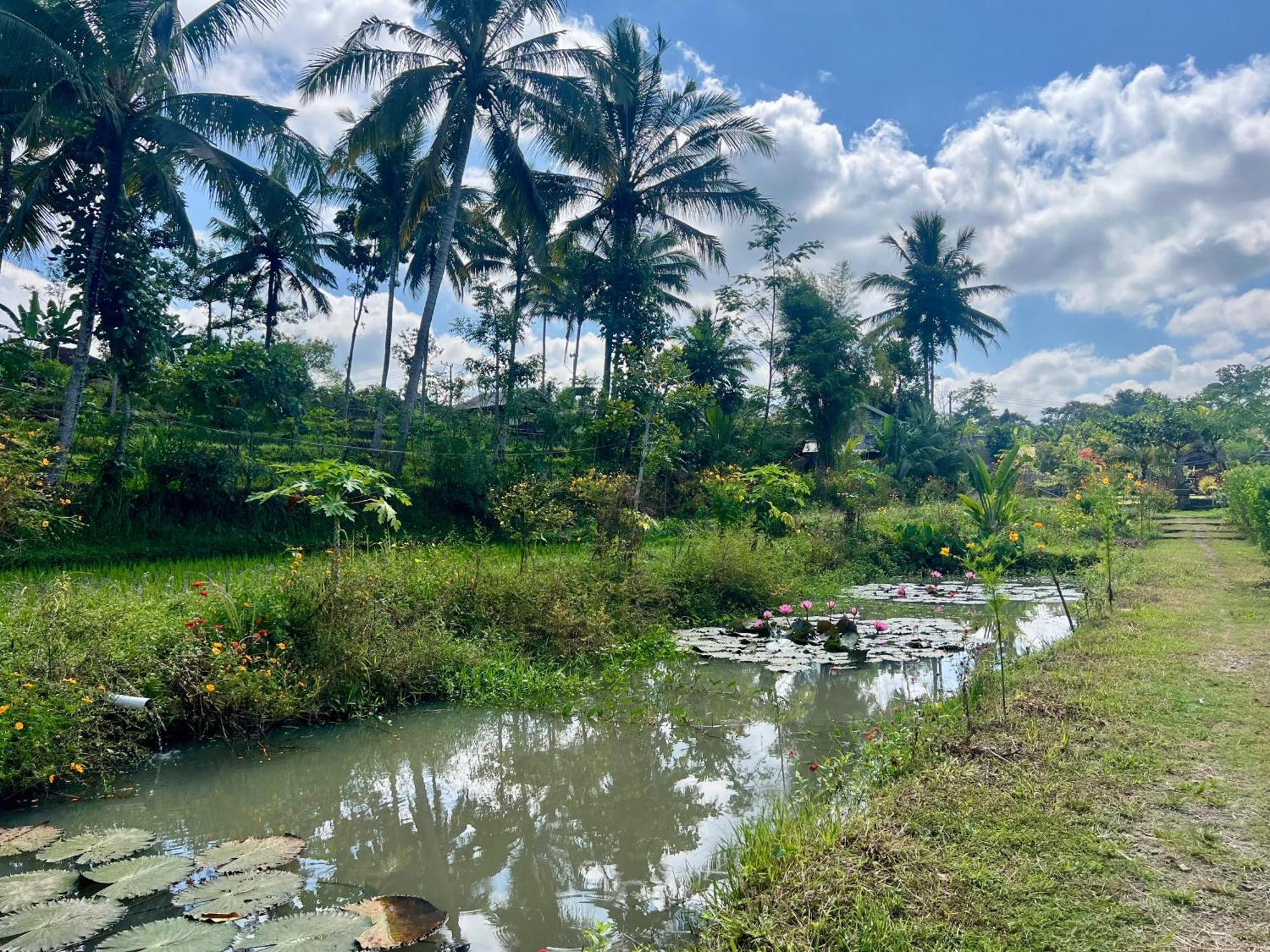 Bello Bungalow Batukliang ภายนอก รูปภาพ