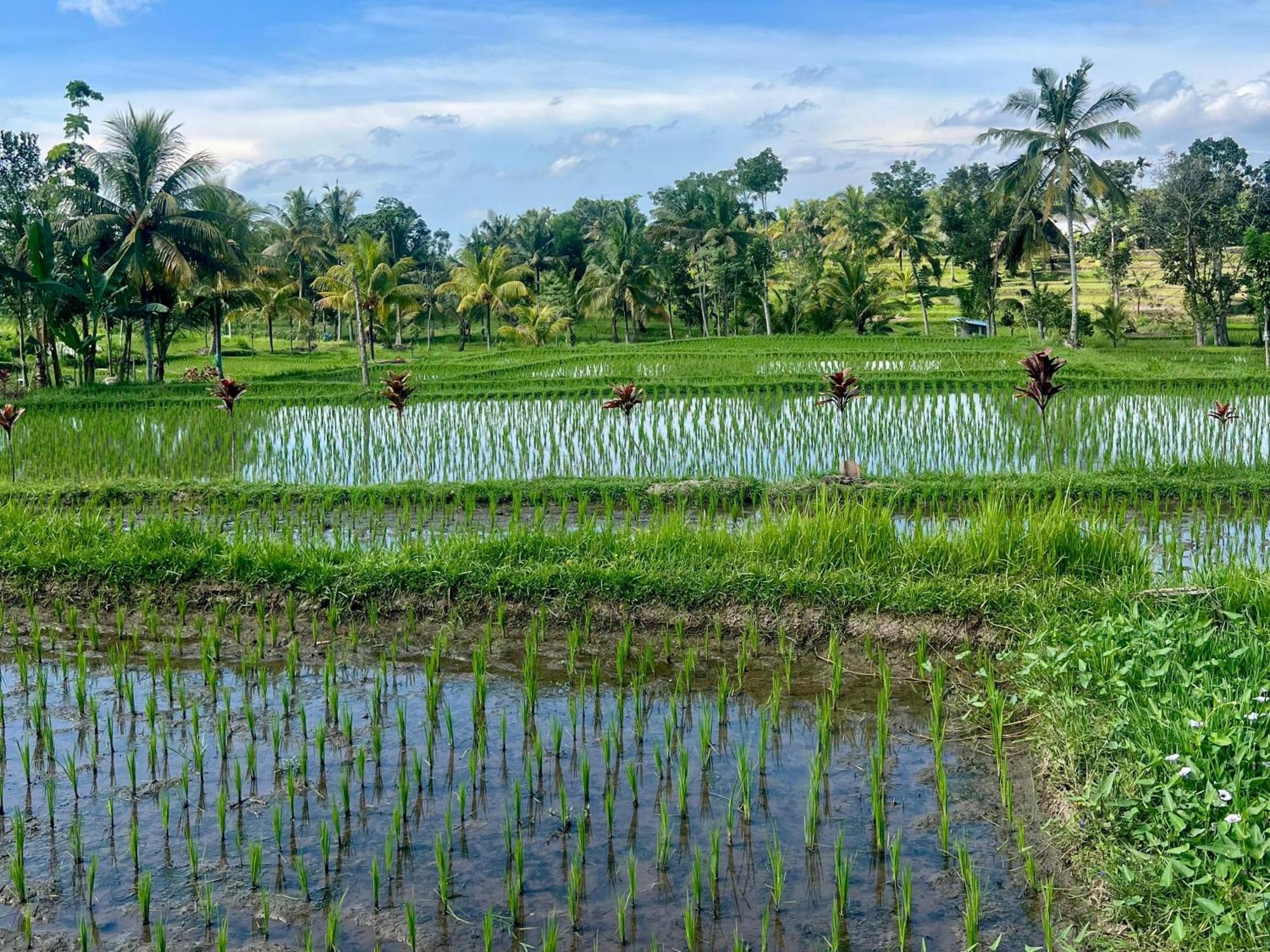Bello Bungalow Batukliang ภายนอก รูปภาพ