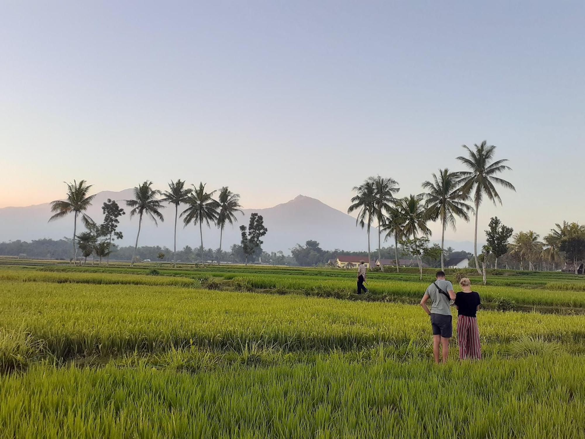 Bello Bungalow Batukliang ภายนอก รูปภาพ